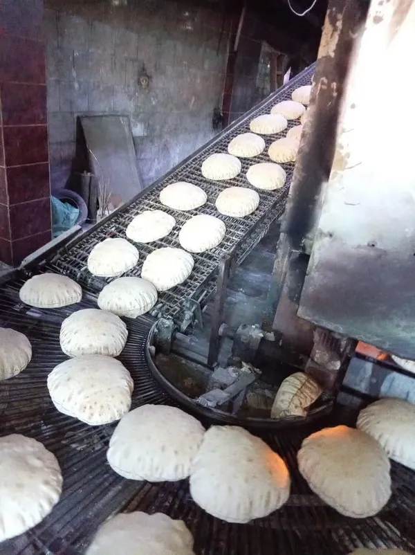 جانب من الحملة 