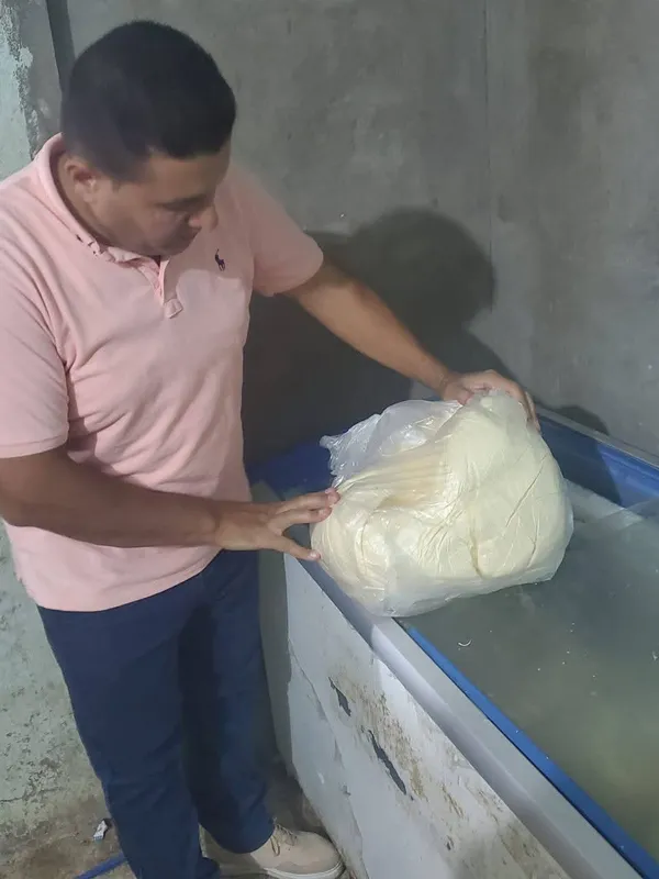 جانب من الضبطيات