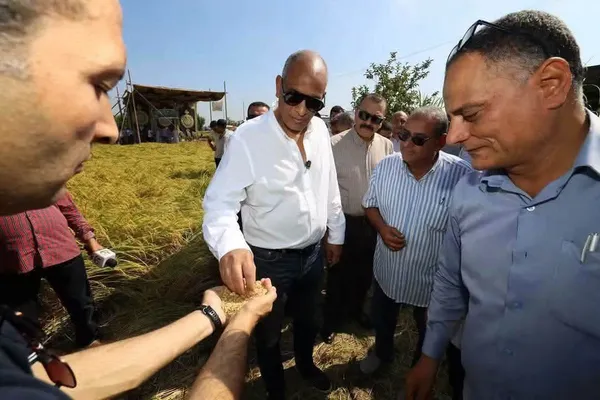 حصاد 11 ألف فدان أرز وتجهيز 5 مراكز لتجميع قش المحصول بدسوق