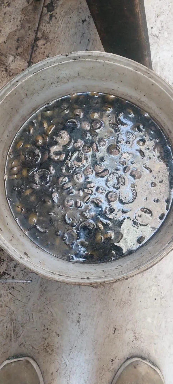 ضبط طن زيتون بمطروح 