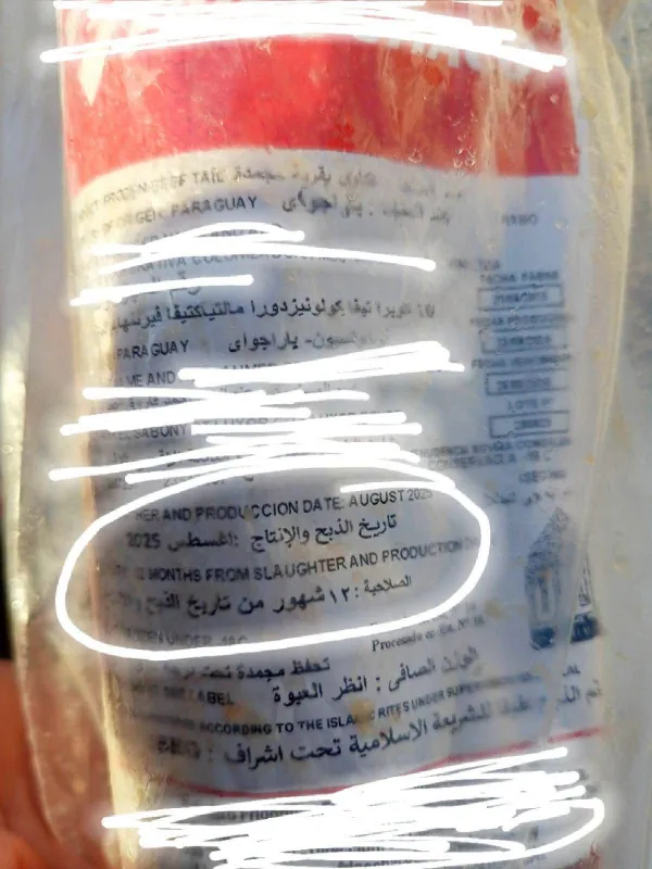 ضبط 