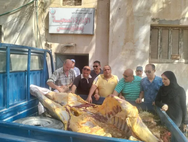 قبل تقديمها وليمة في أحد الأعراس.. الأجهزة الرقابية بمطوبس تضبط ذبيحة مصابة بمرض السٌل 