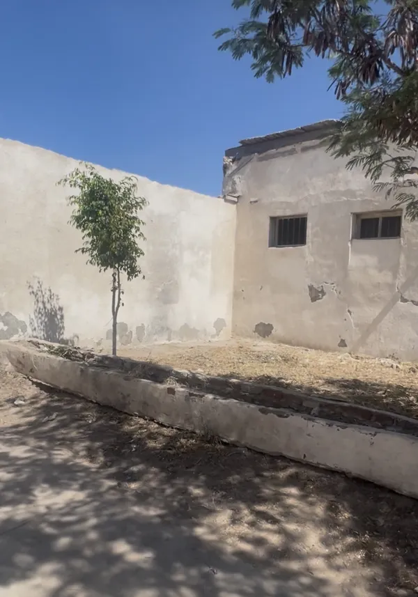 قصة قبر عاد للنور بفضل جولة ميدانية لمسؤولة محلية.