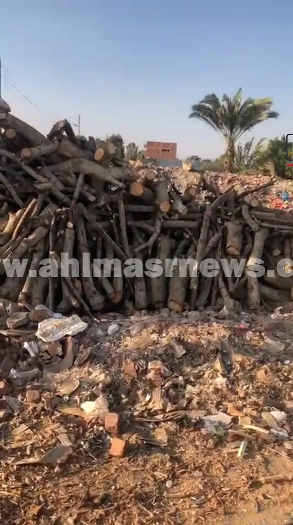 مكامير الفحم بالغربية