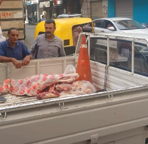 المنوفية 