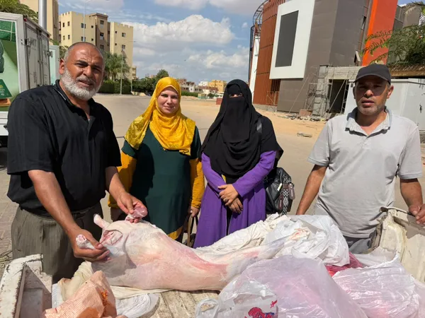 المنوفية 