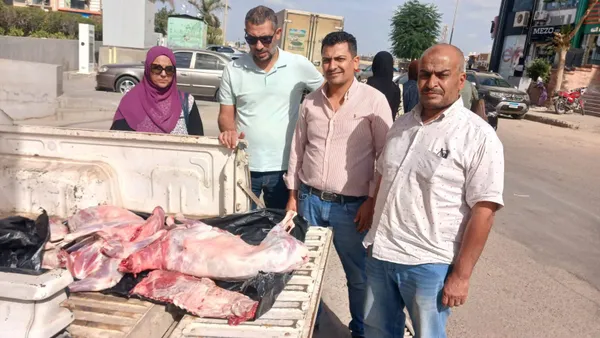 المنوفية 