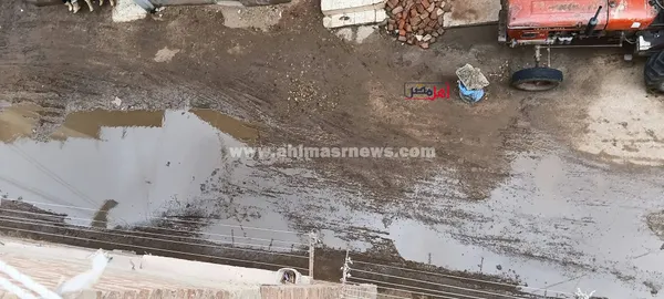 تقلبات جوية بكفر الشيخ 