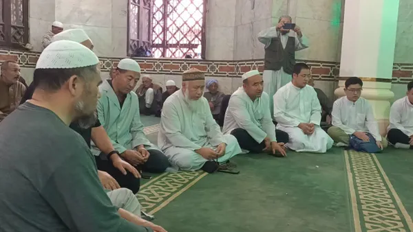 توافد الوفود العربية والإسلامية لدسوق للاحتفال بمولد الدسوقي 
