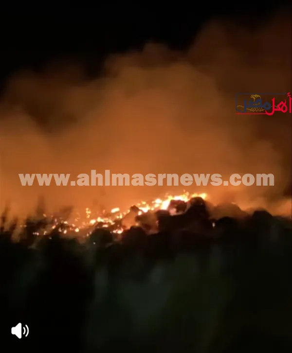 جانب من الحريق 