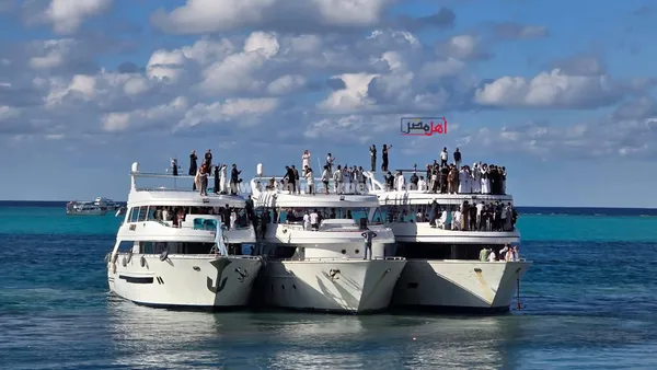 زفاف باليخوت بمطروح 