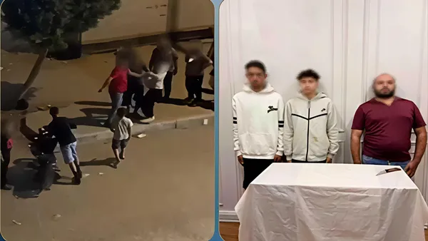 ضبط