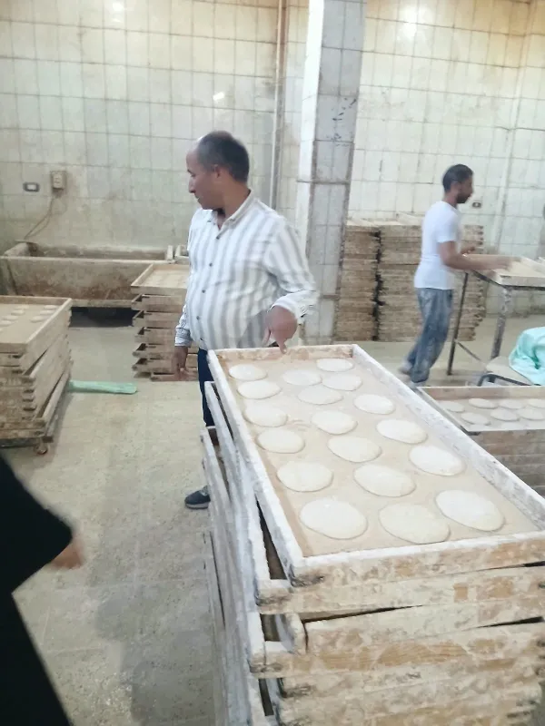 ضبوطات