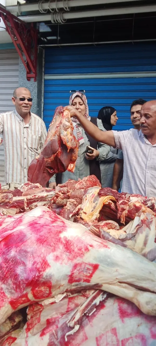 ضبوطات 