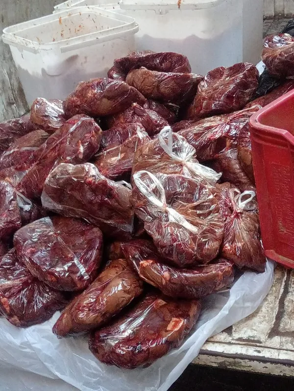 ضبوطات 