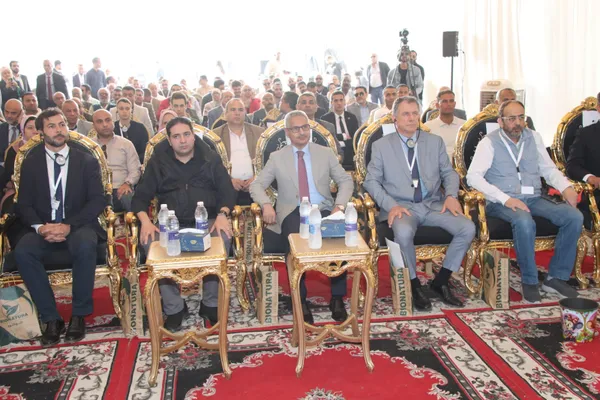 محطة مصنع بيومصر للتحلل الحراري