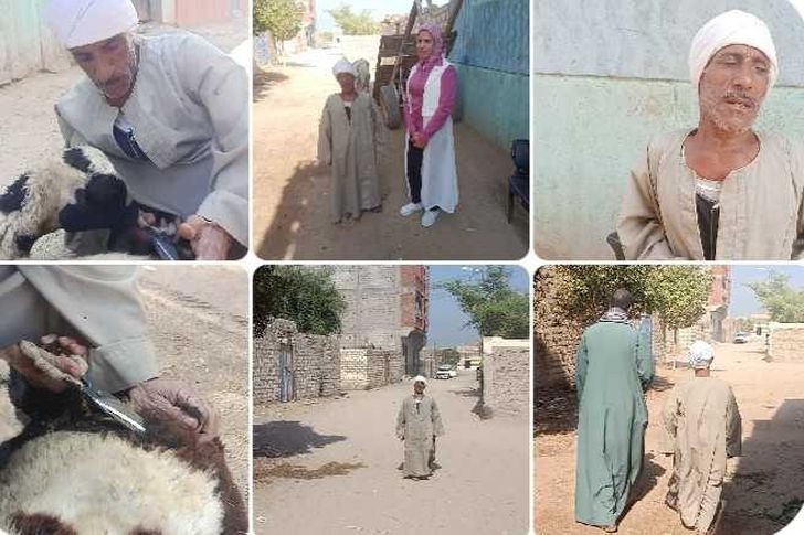 طوله 90 سنتيمترا أقصر قصاص أغنام في قنا عانيت من التنمر ولم أستسلم فيديو وصور أهل مصر