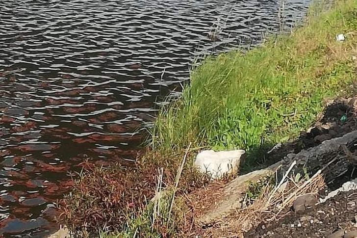 انتشال جثة طفل أخر ضحايا حادث محور 30 يونيو جنوب بورسعيد أهل مصر