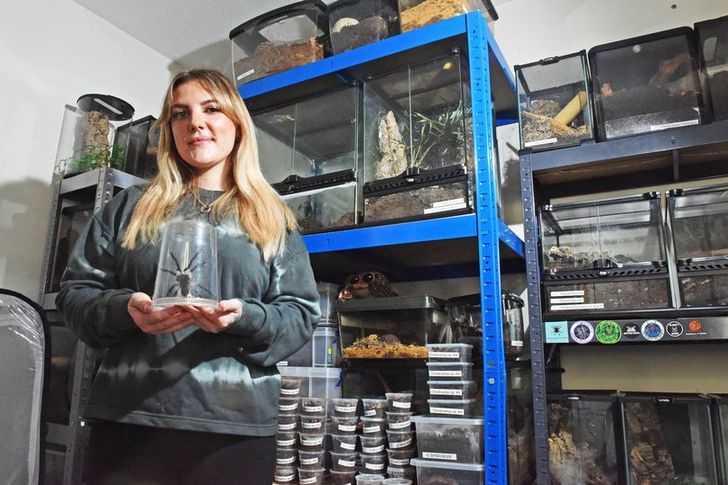 امرأة تعيش مع ٤٠٠ عنكبوت داخل منزلها