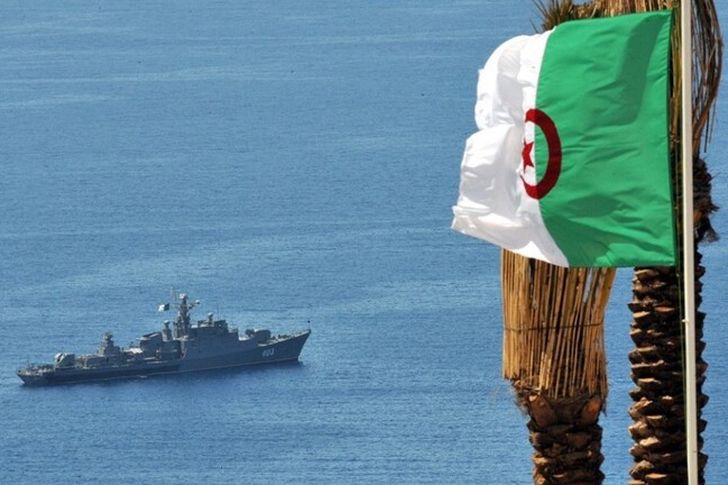 الجزائر علم 