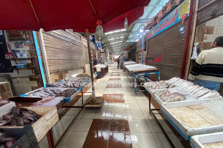 سوق الاسماك ببورفؤاد 
