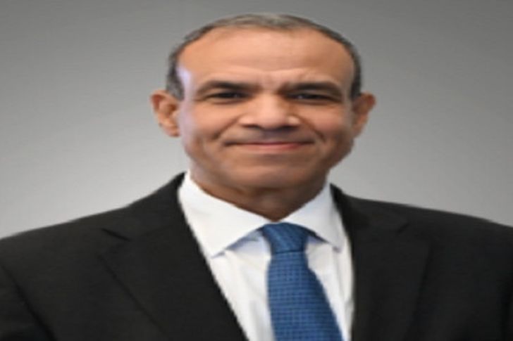 بدر عبدالعاطي وزير الخارجية 