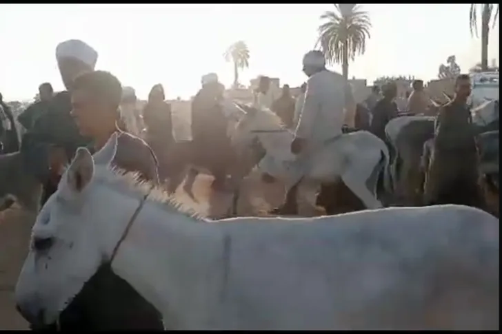 سوق حمير 