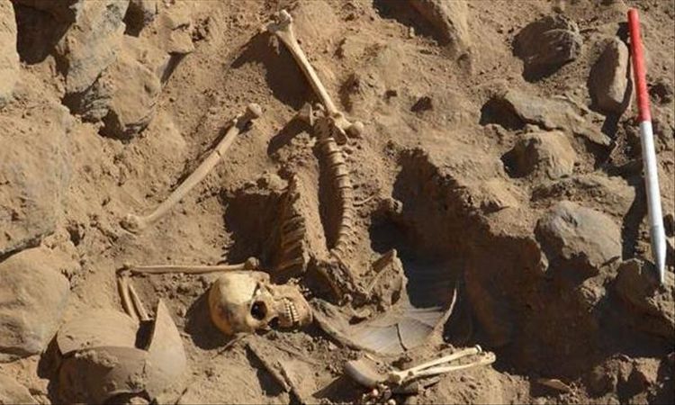 علماء آثار يرصدون أدلة على نجاح عمليات بتر جراحي قبل 31 ألف عام أهل مصر