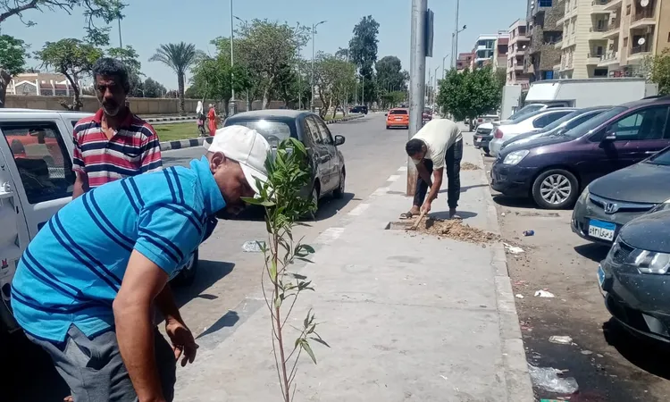 «100 مليون شجرة».. الزراعة تعلن تفاصيل المرحلة الخامسة ..اخبار محلية