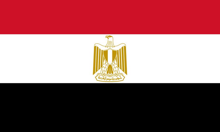 تقرير يكشف مصر يقطنها أكثر من 15700 مليونير 