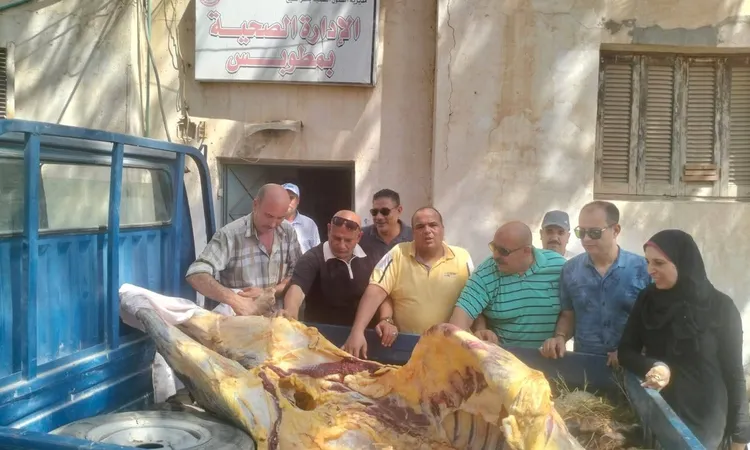 قبل تقديمها وليمة في أحد الأعراس.. الأجهزة الرقابية بمطوبس تضبط ذبيحة مصابة بمرض السل